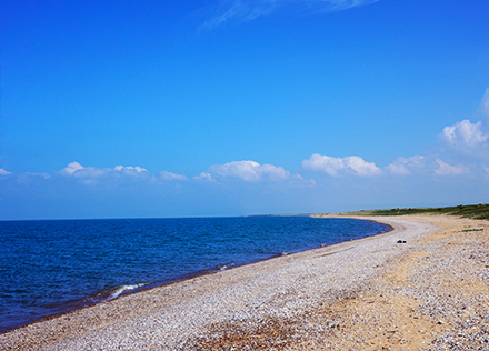 青海湖