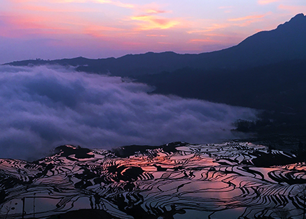 红河哈尼梯田文化景观