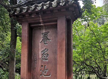 1天 · 园林雅韵——诗境罨画池研学