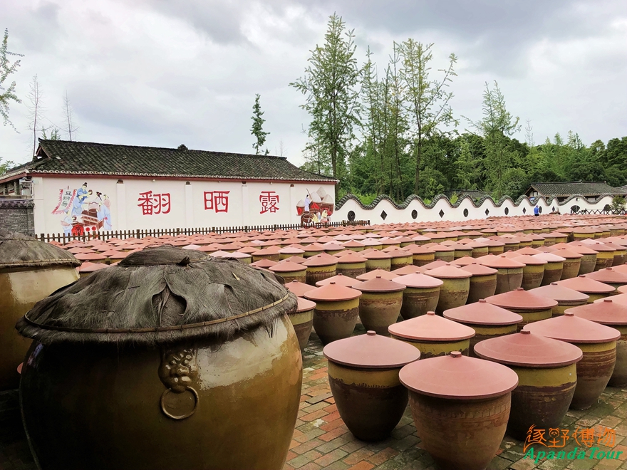 豆瓣 翻晒露1a.jpg