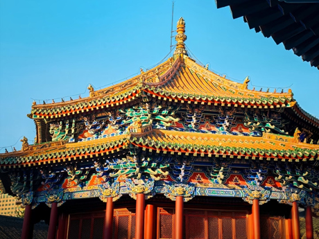 7天 · 打卡博物馆——盛京烟云•辽宁夏令营